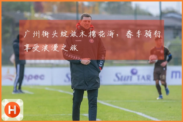 广州街头绽放木棉花海，春季骑行享受浪漫之旅