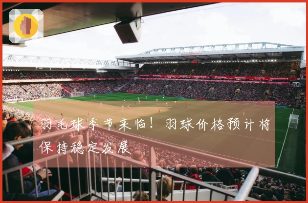 羽毛球季节来临！羽球价格预计将保持稳定发展