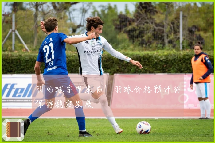羽毛球季节来临！羽球价格预计将保持稳定发展