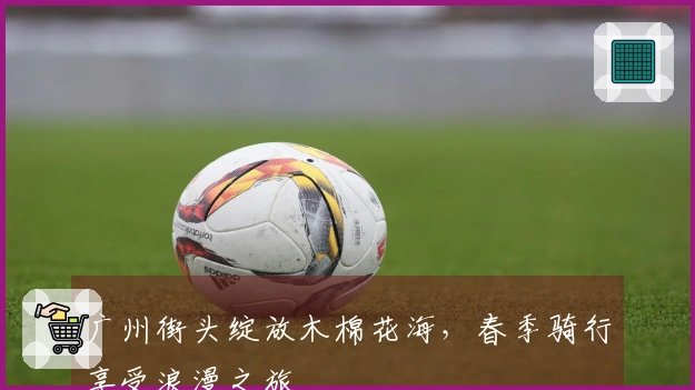 广州街头绽放木棉花海，春季骑行享受浪漫之旅